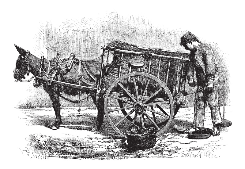 Exploring the Transformations in Waste Management Across Eras